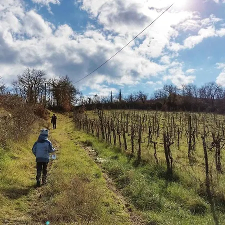 Il Borgo Di Capannole, Il Giorgio アパート *
